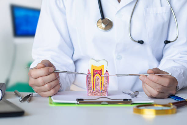 Best Urgent Tooth Repair  in Hancock, MI